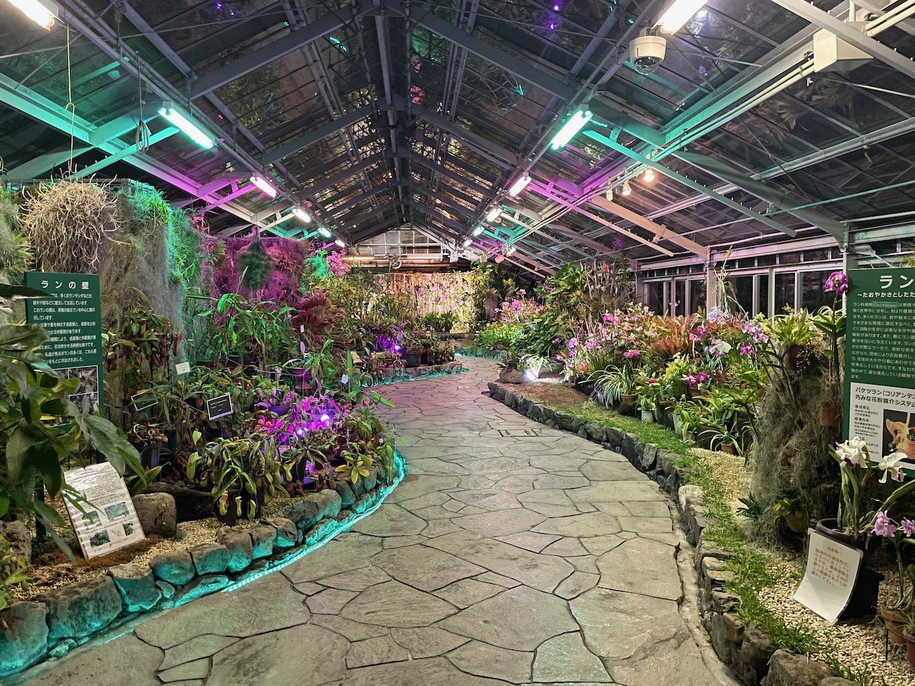 🌷 효고 현립 플라워 센터 (효고켄리츠 후라와센타) 이미지 4